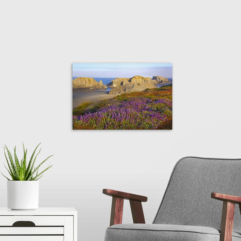 A modern room featuring Wildflowers And Rock Formations Along The Coast At Bandon State Park; Oregon, USA