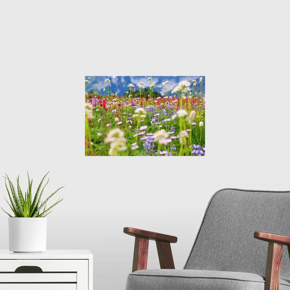 A modern room featuring Wildflowers In A Meadow In Mt. Rainier National Park, Washington