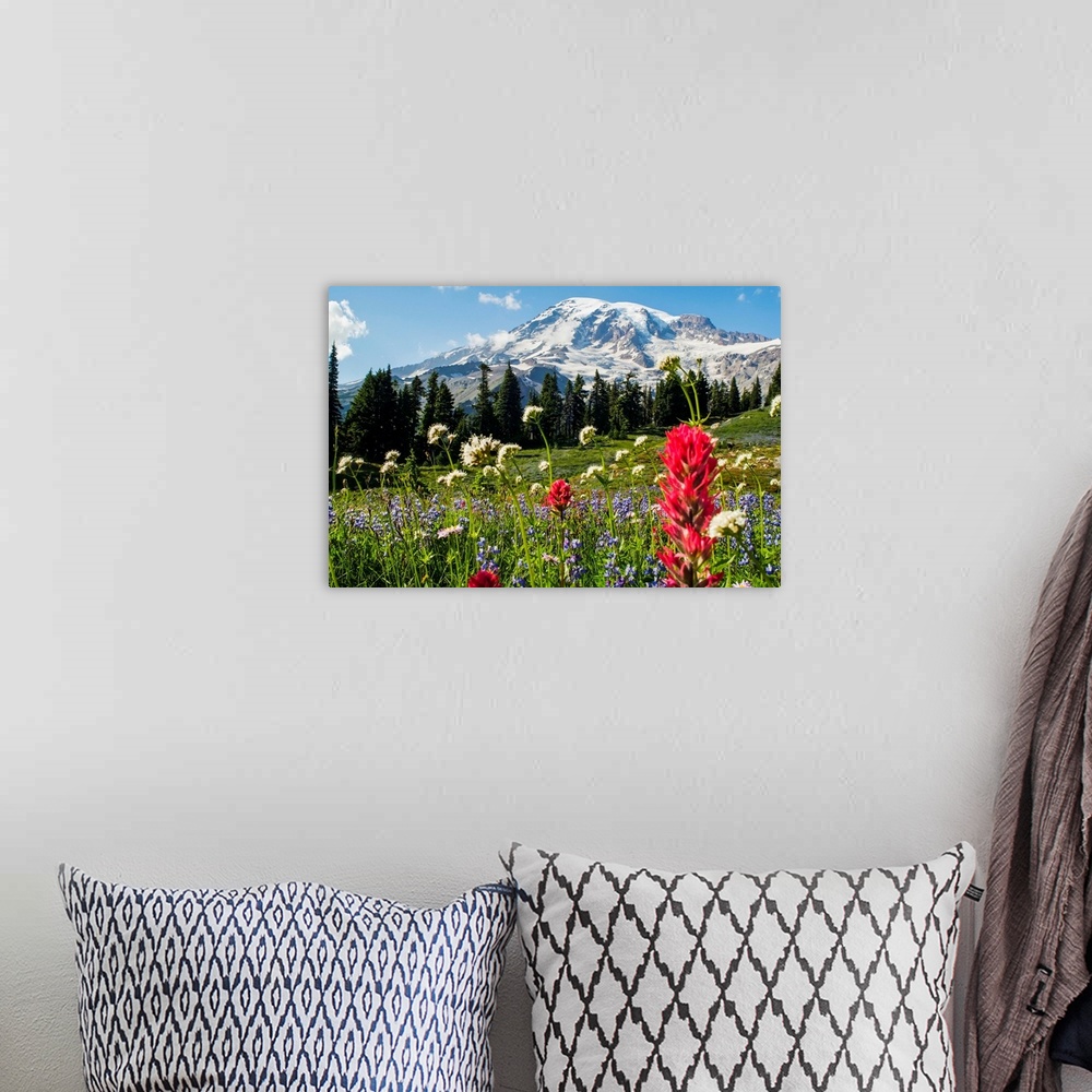 A bohemian room featuring Wildflowers In Mount Rainier National Park, Washington