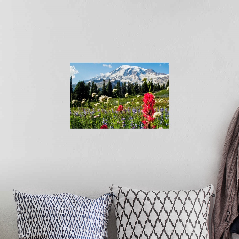 A bohemian room featuring Wildflowers In Mount Rainier National Park, Washington