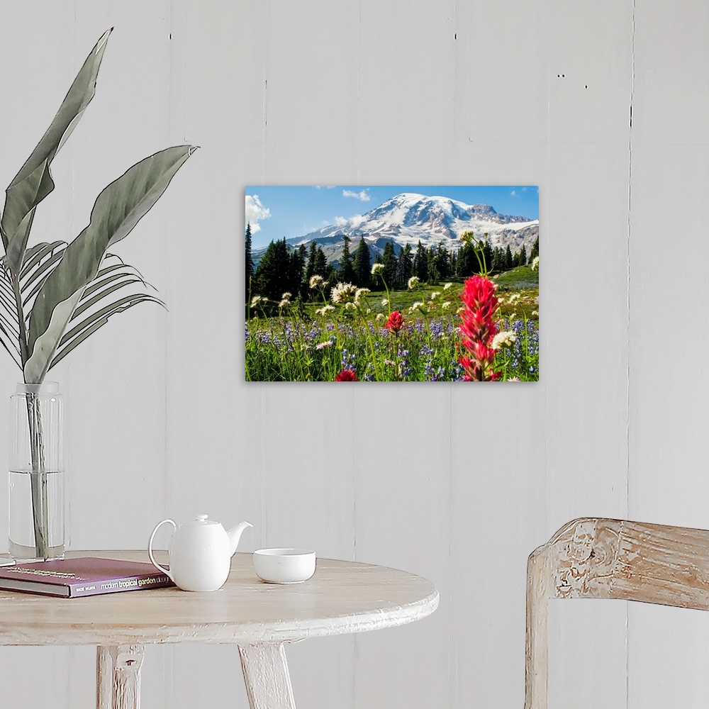 A farmhouse room featuring Wildflowers In Mount Rainier National Park, Washington