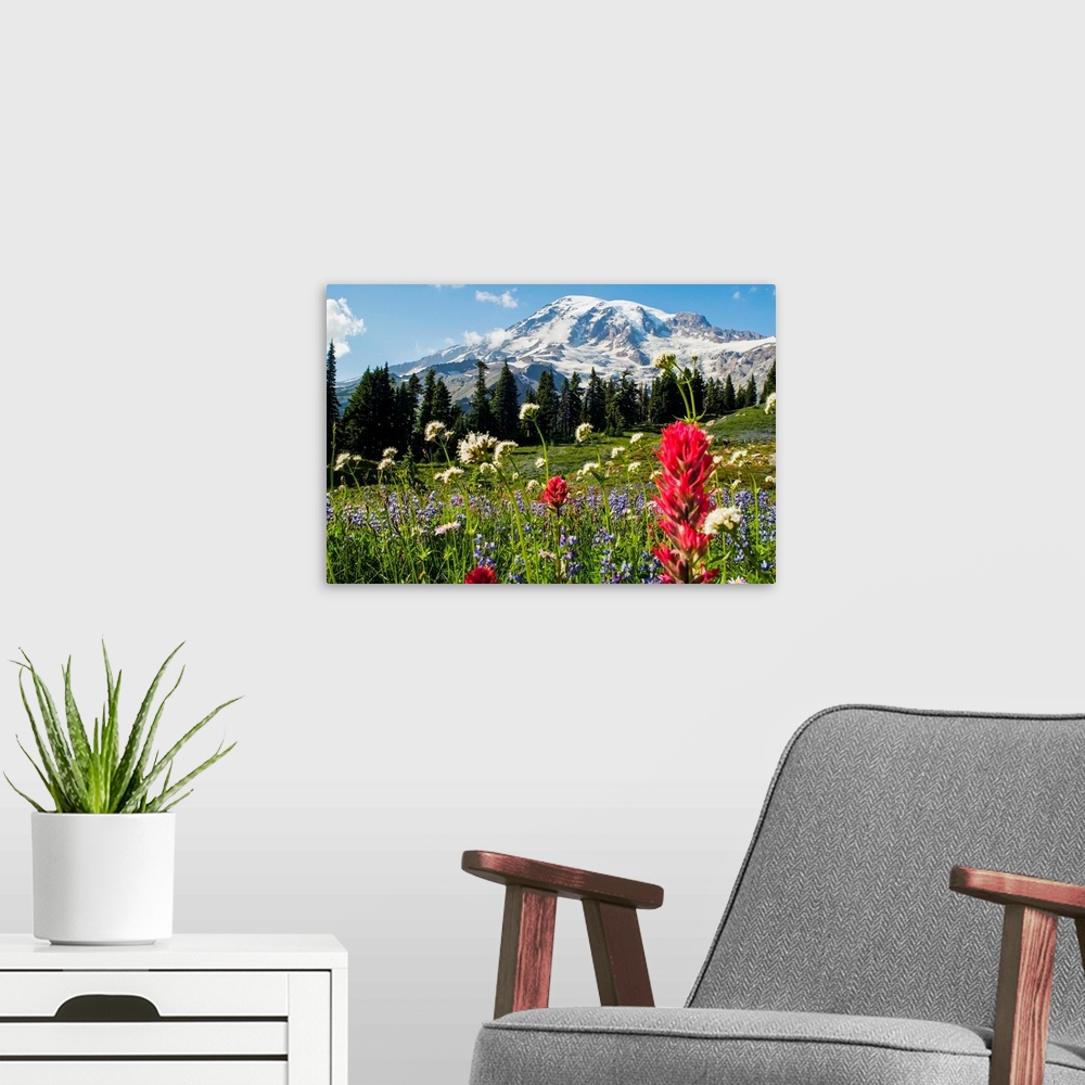 A modern room featuring Wildflowers In Mount Rainier National Park, Washington