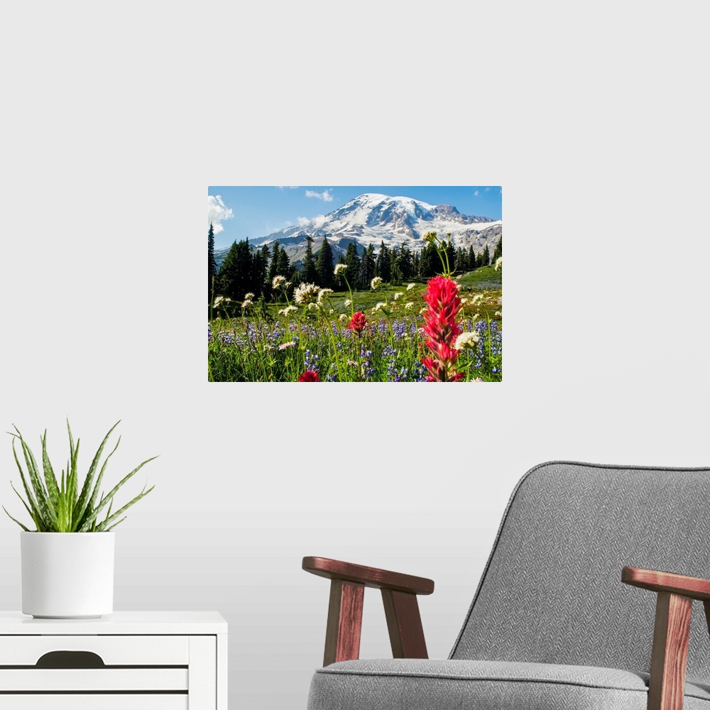 A modern room featuring Wildflowers In Mount Rainier National Park, Washington