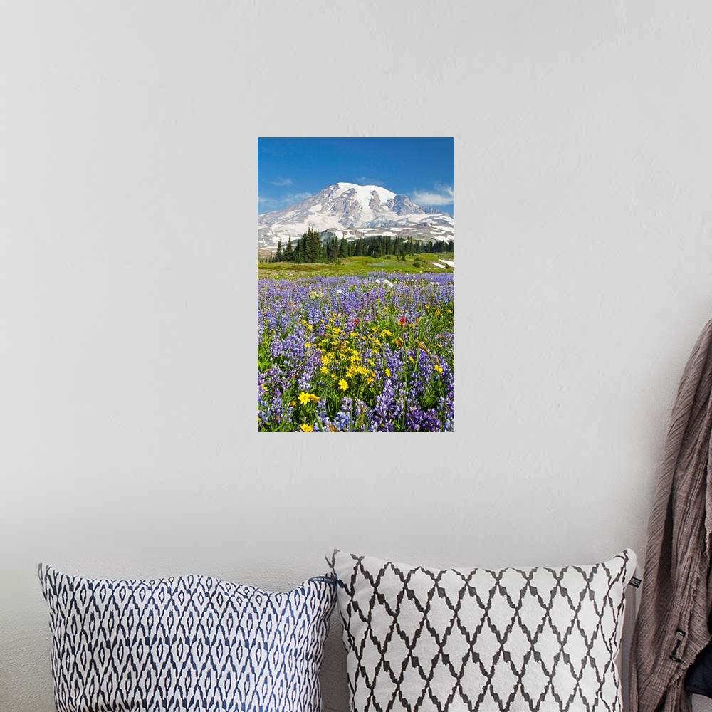 A bohemian room featuring Wildflowers In Paradise Park, Mount Rainier National Park, Washington