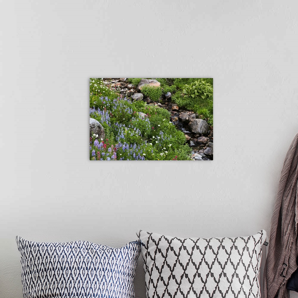 A bohemian room featuring Wildflowers, rocks and a small flowing stream in a landscape on Mount Rainier.
