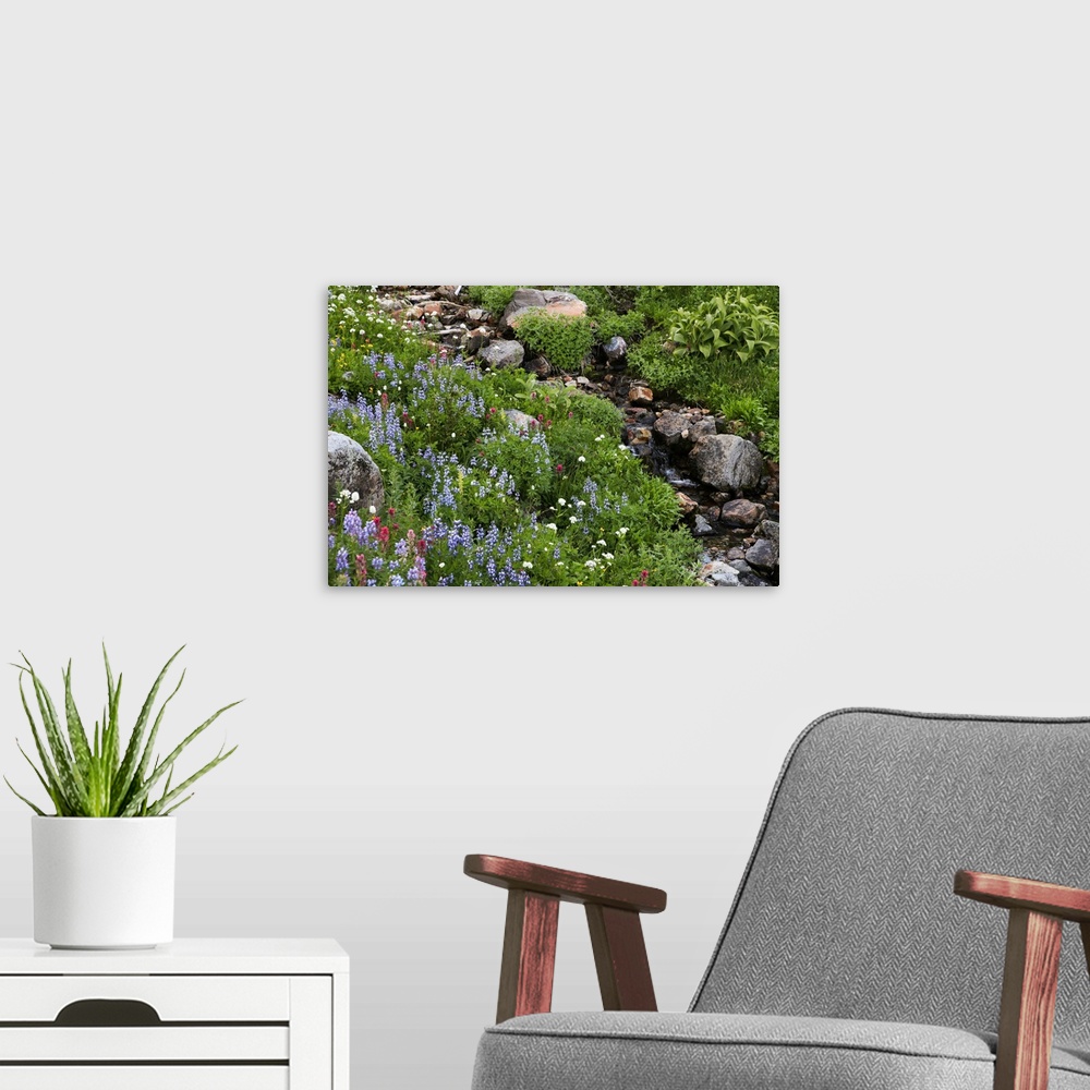 A modern room featuring Wildflowers, rocks and a small flowing stream in a landscape on Mount Rainier.