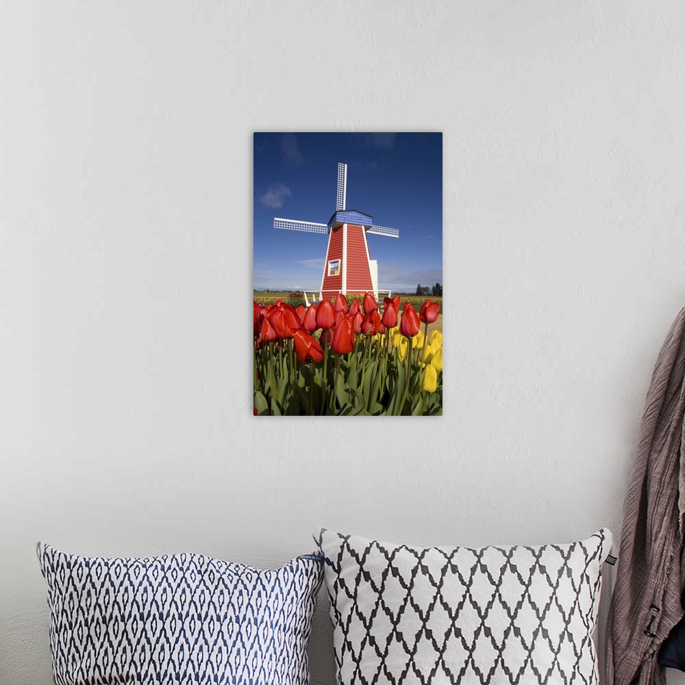 A bohemian room featuring 02 Apr 2007, Oregon, USA --- Windmill in Tulip Field --- Image by  Craig Tuttle/Corbis