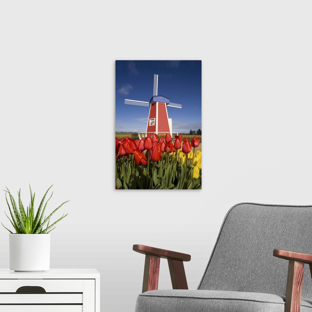 A modern room featuring 02 Apr 2007, Oregon, USA --- Windmill in Tulip Field --- Image by  Craig Tuttle/Corbis