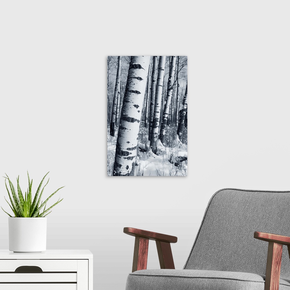 A modern room featuring Winter Forest
