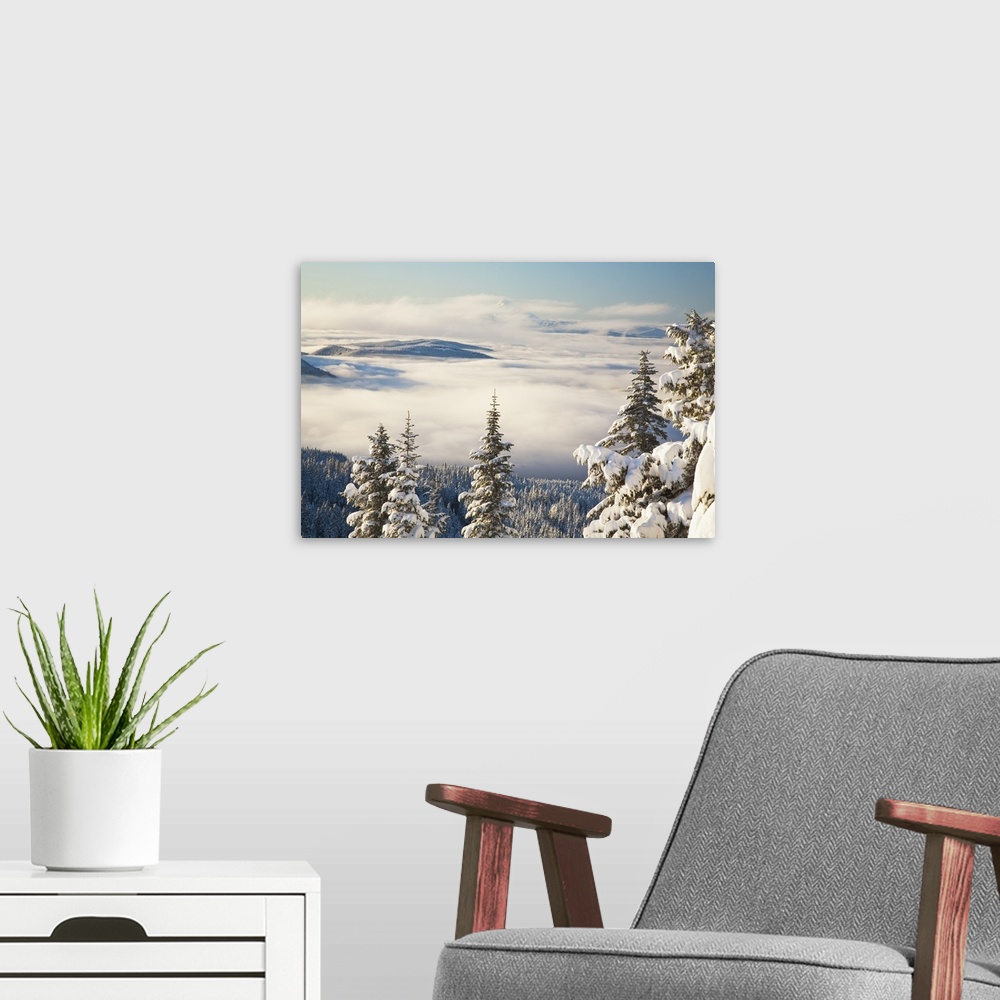 A modern room featuring Winter Landscape With Clouds And Snow-Covered Trees; Oregon