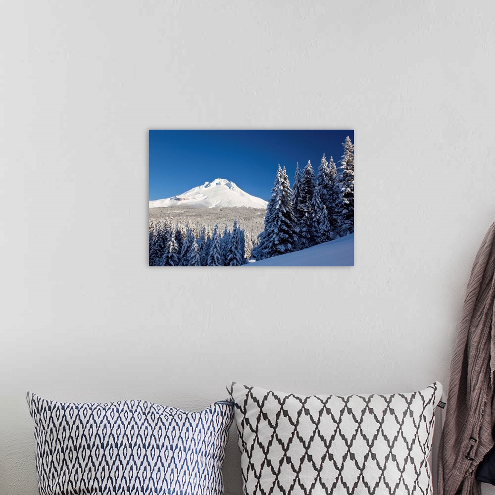 A bohemian room featuring Winter Snow Over The Cascade Range; Mount Hood, Oregon, USA