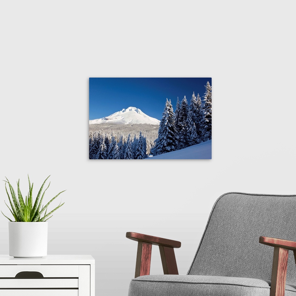 A modern room featuring Winter Snow Over The Cascade Range; Mount Hood, Oregon, USA