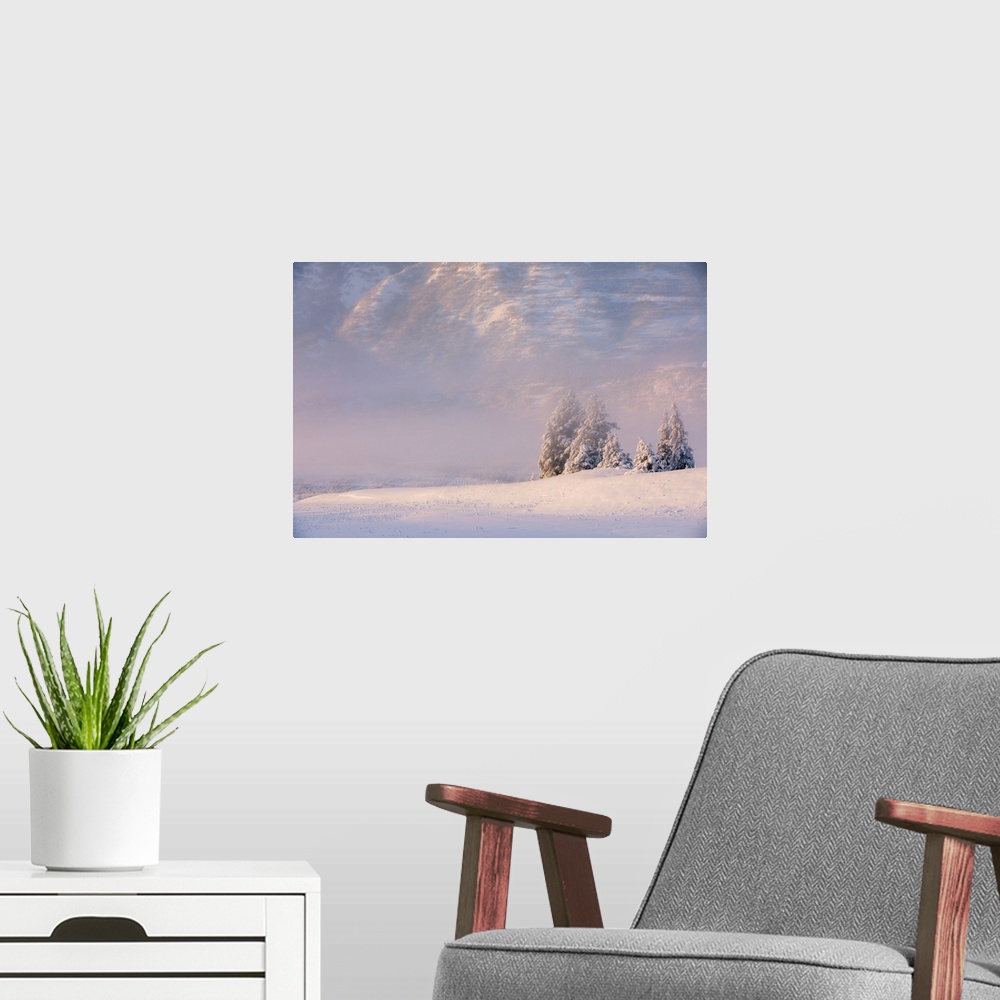 A modern room featuring Winter view of a small stand of snow-covered spruce trees in fog, Turnagain Pass, Kenai Peninsula...