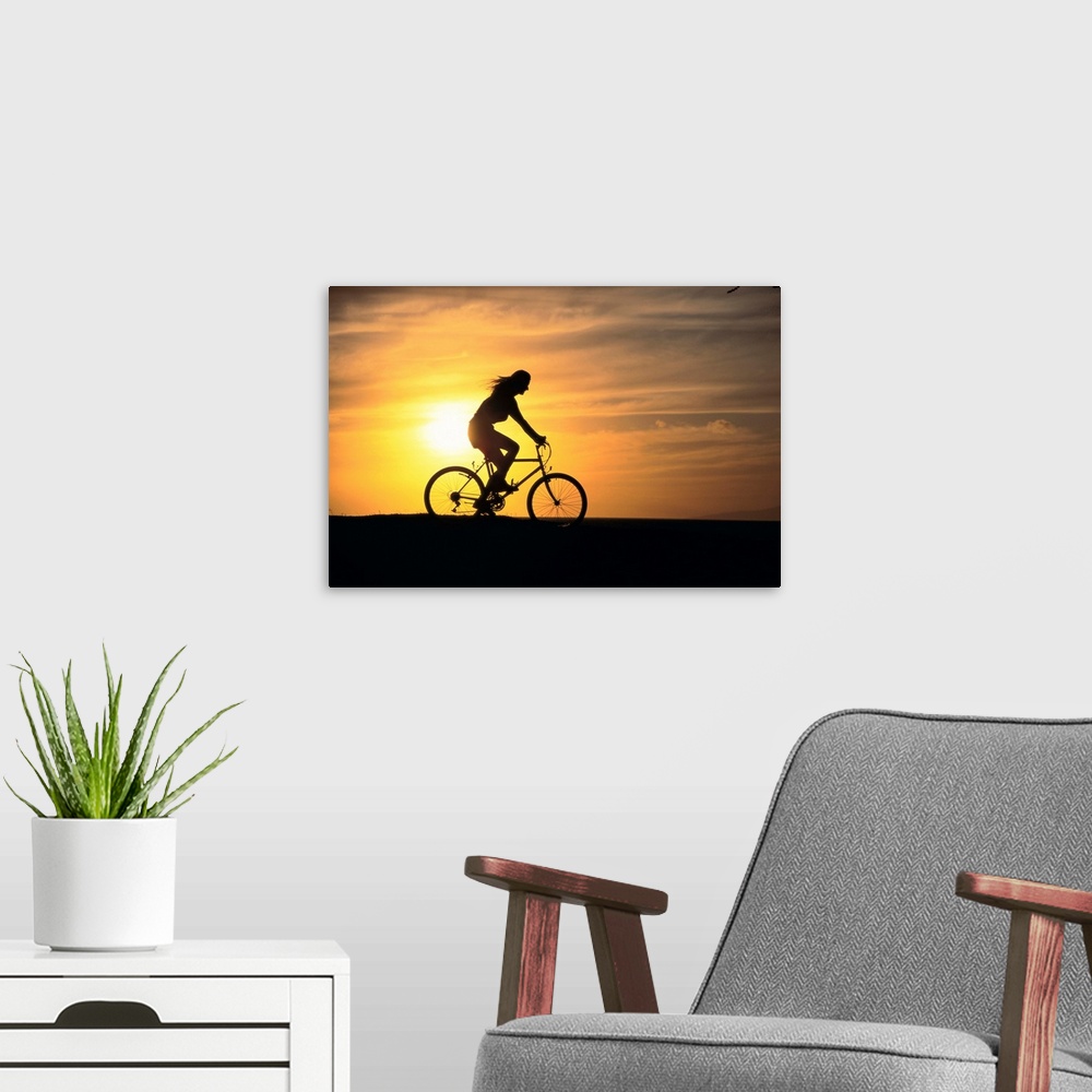 A modern room featuring Woman Rides Mountain Bicycle Silhouetted At Sunset