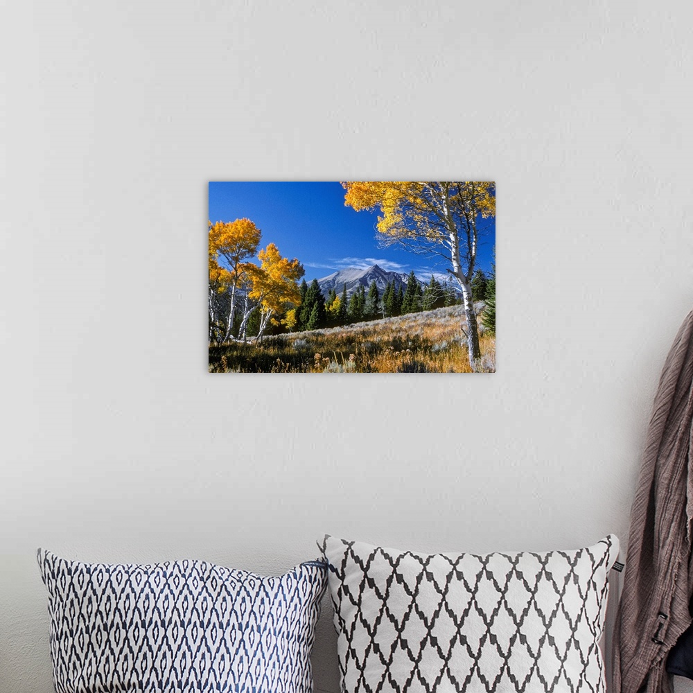A bohemian room featuring Vibrant yellow foliage on aspen trees and Electric Peak in the background, Gallatin Range in Yell...