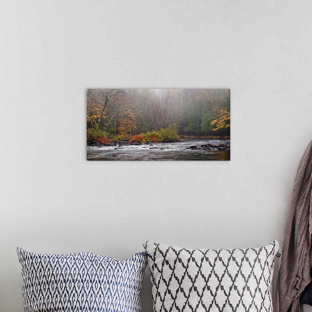 A bohemian room featuring Photograph taken of rushing water that cuts through a thick forest during autumn.