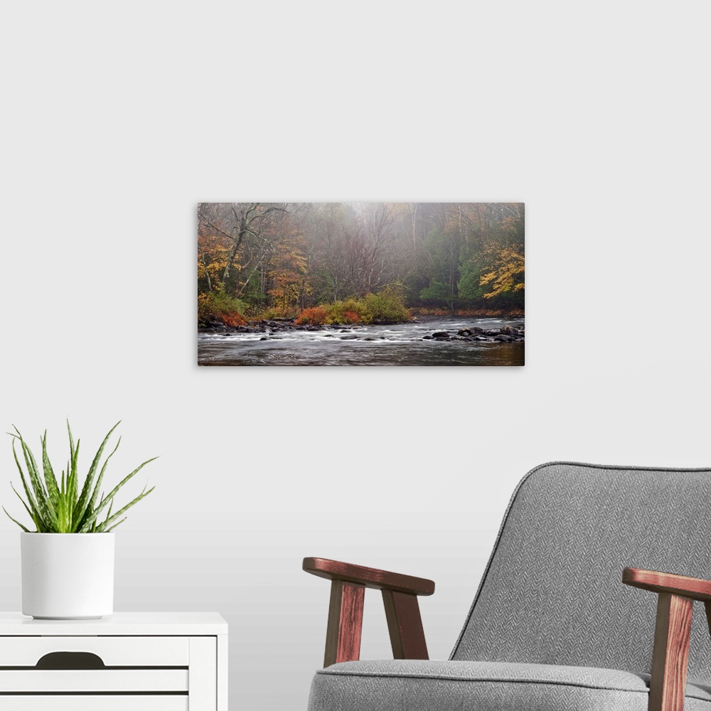 A modern room featuring Photograph taken of rushing water that cuts through a thick forest during autumn.