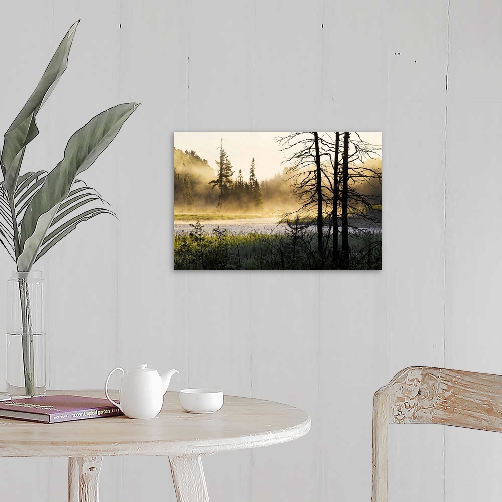 A farmhouse room featuring Big photo on canvas of a forest landscape covered in fog and bathed in various places with warm s...