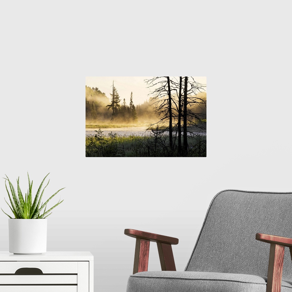 A modern room featuring Big photo on canvas of a forest landscape covered in fog and bathed in various places with warm s...