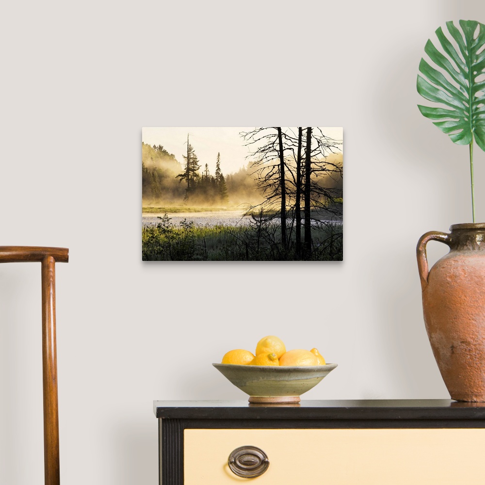 A traditional room featuring Big photo on canvas of a forest landscape covered in fog and bathed in various places with warm s...