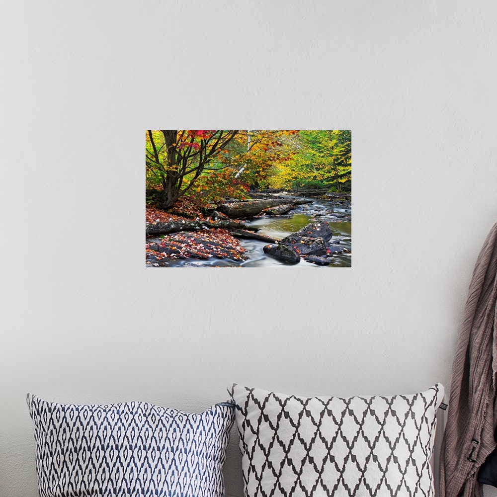 A bohemian room featuring Big canvas print of a forest with fall foliage surrounding a riving that is running over rocks an...