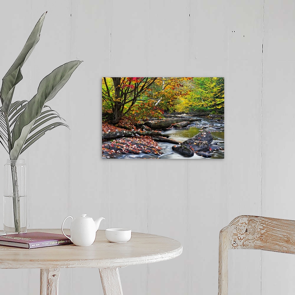 A farmhouse room featuring Big canvas print of a forest with fall foliage surrounding a riving that is running over rocks an...