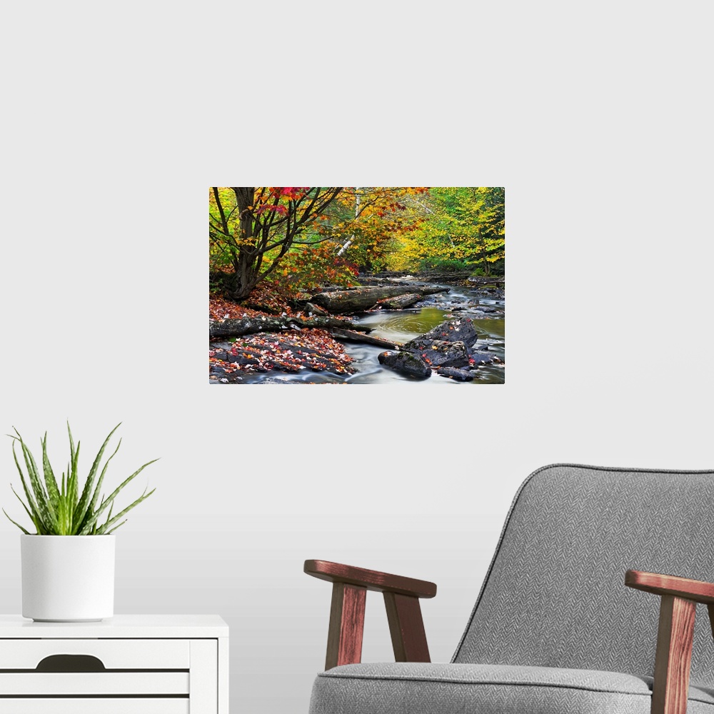 A modern room featuring Big canvas print of a forest with fall foliage surrounding a riving that is running over rocks an...