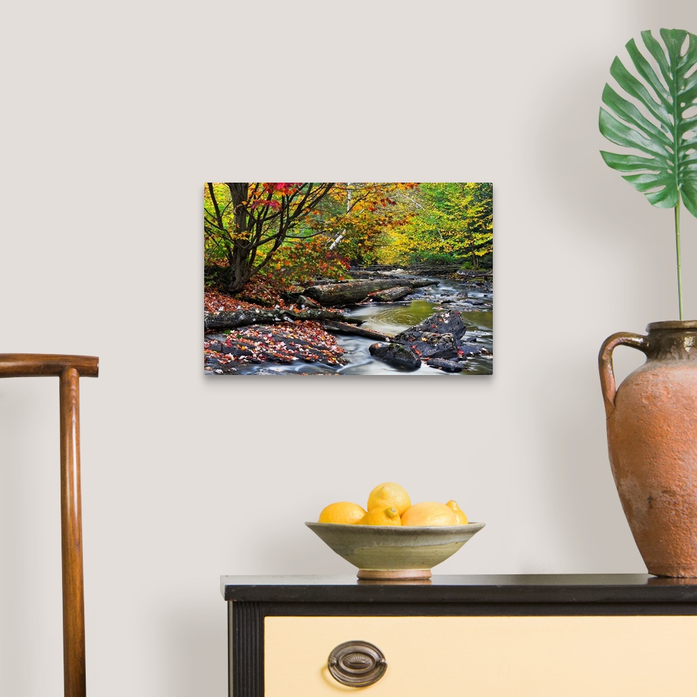 A traditional room featuring Big canvas print of a forest with fall foliage surrounding a riving that is running over rocks an...