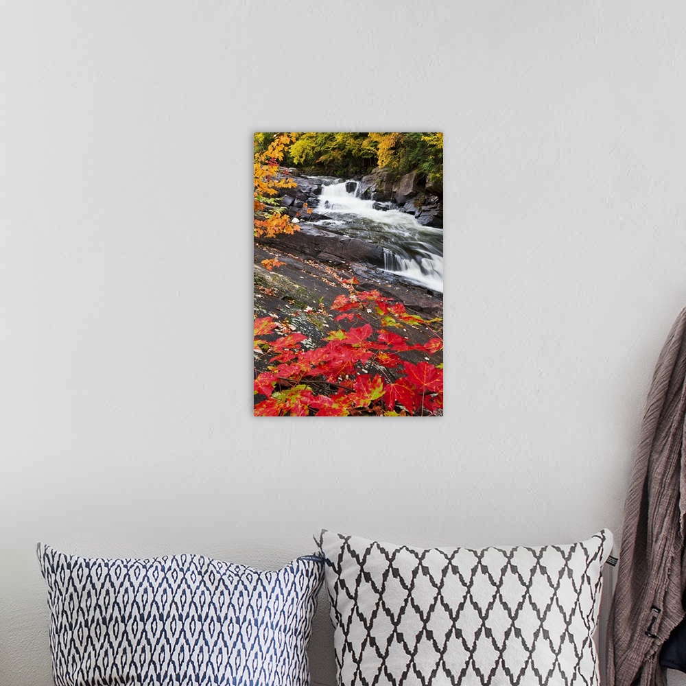 A bohemian room featuring Tall canvas photo of water rushing down a rocky river surrounded by fall foliage.