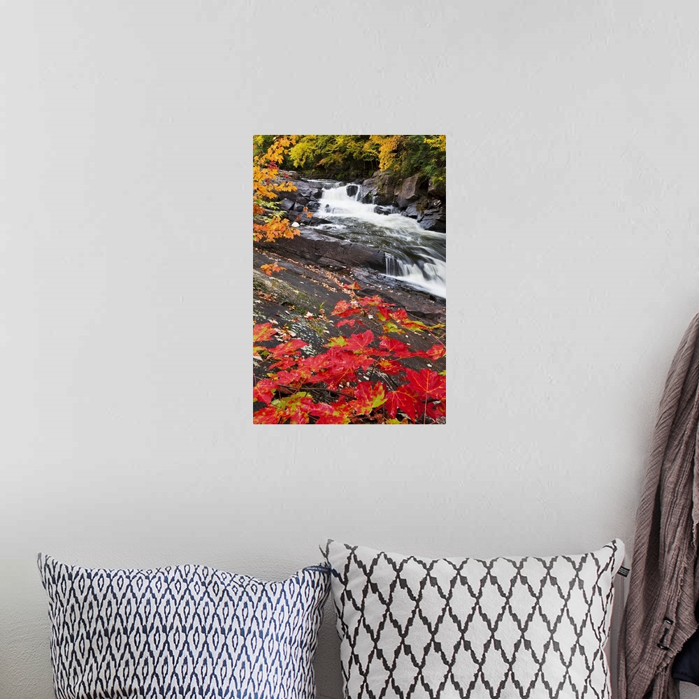 A bohemian room featuring Tall canvas photo of water rushing down a rocky river surrounded by fall foliage.