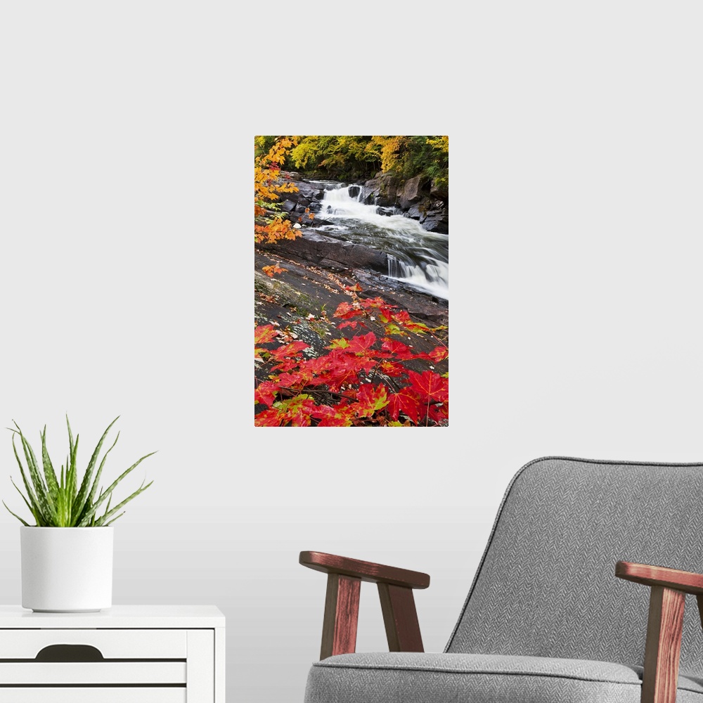 A modern room featuring Tall canvas photo of water rushing down a rocky river surrounded by fall foliage.