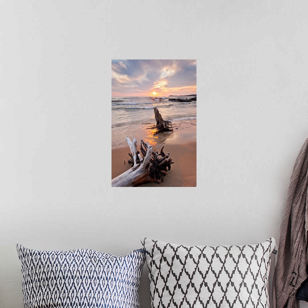 A bohemian room featuring Pastel scene of two large pieces of sea bleached driftwood, lining up with the setting sun as sha...