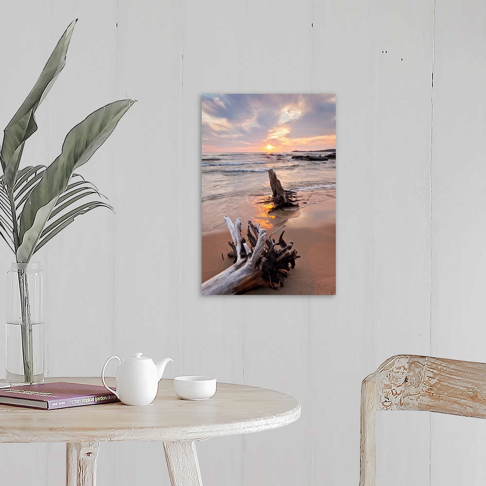 A farmhouse room featuring Pastel scene of two large pieces of sea bleached driftwood, lining up with the setting sun as sha...