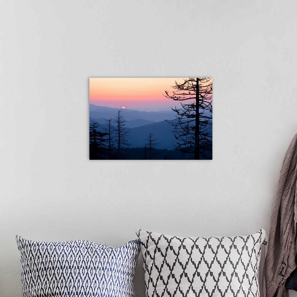 A bohemian room featuring Large canvas print of the silhouettes of trees against layers of foggy mountains with the sun ris...