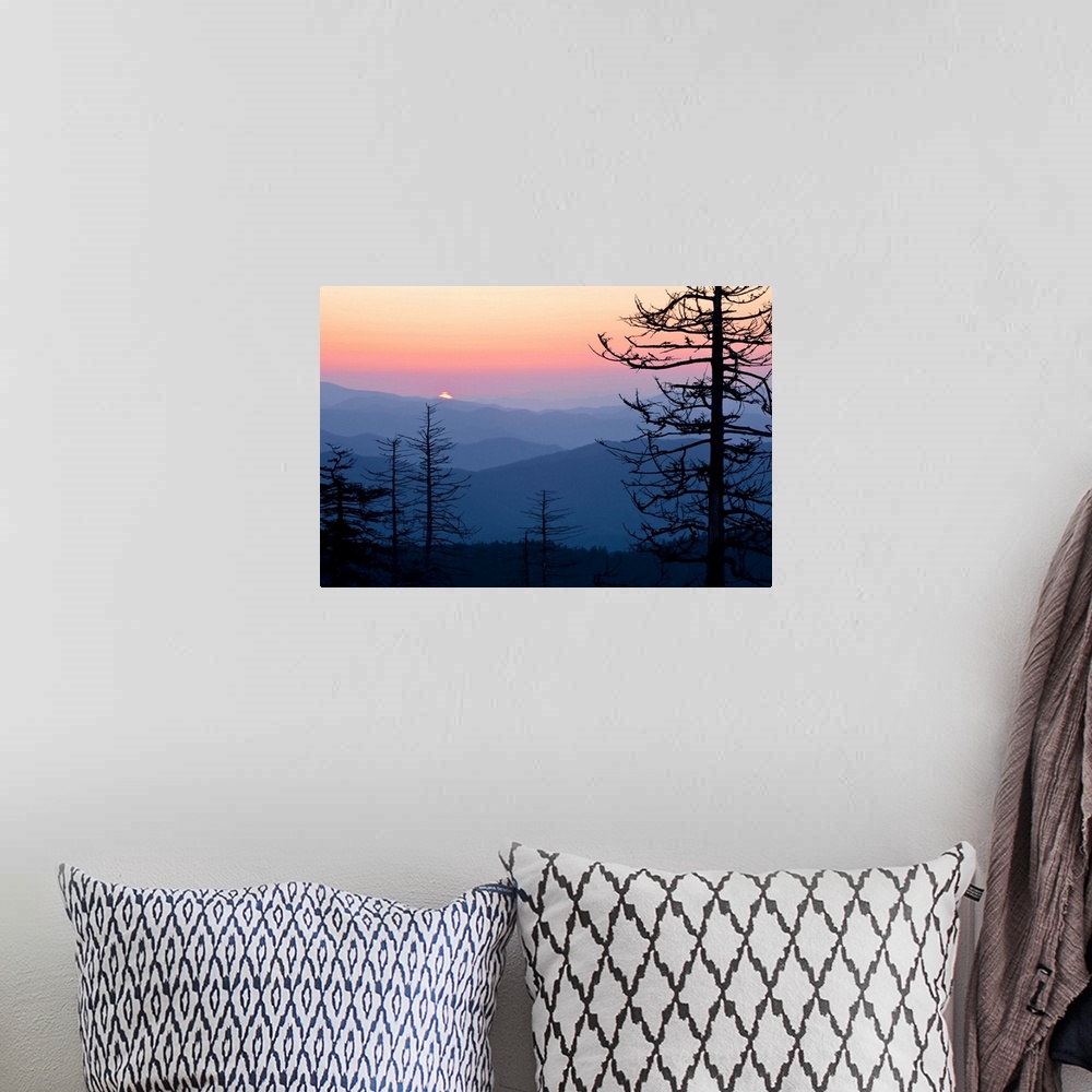A bohemian room featuring Large canvas print of the silhouettes of trees against layers of foggy mountains with the sun ris...