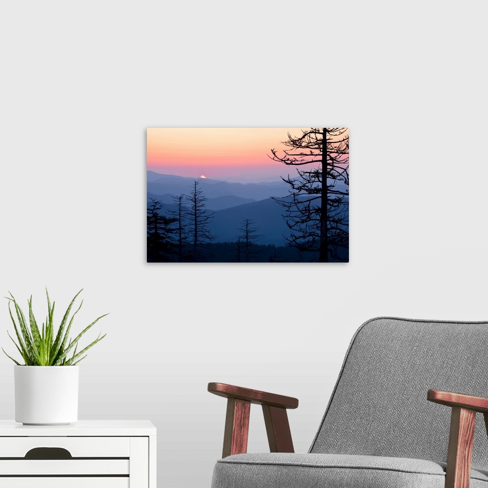 A modern room featuring Large canvas print of the silhouettes of trees against layers of foggy mountains with the sun ris...