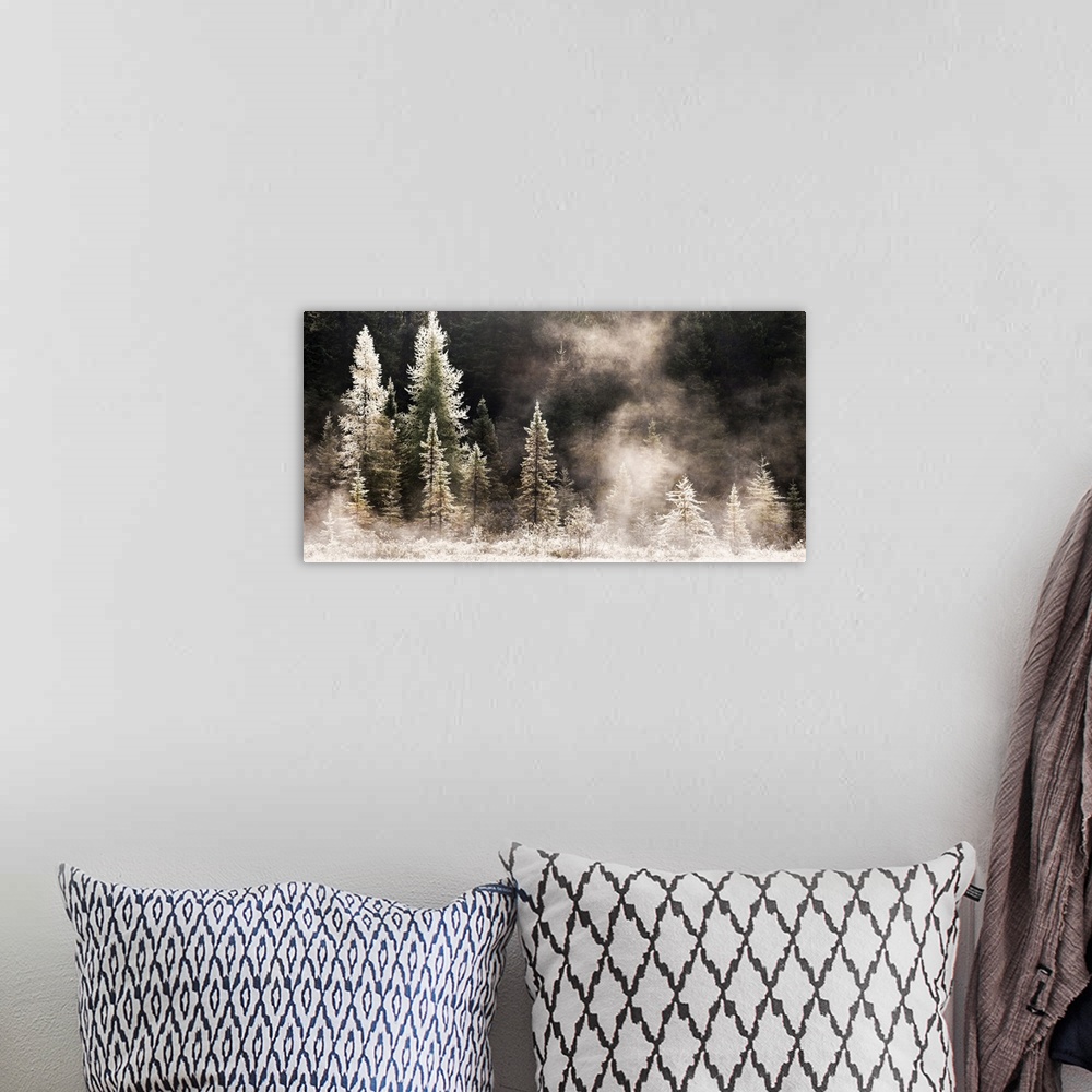 A bohemian room featuring Horizontal, big photograph of a line of pine trees in various sizes, frost and ice covered and gl...