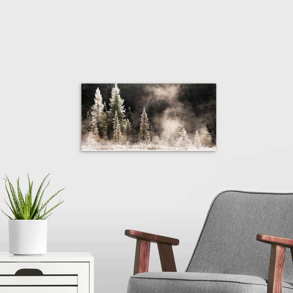 A modern room featuring Horizontal, big photograph of a line of pine trees in various sizes, frost and ice covered and gl...