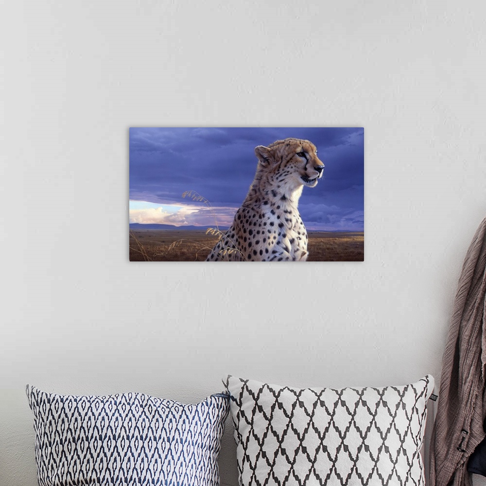 A bohemian room featuring African Tempest - Cheetah