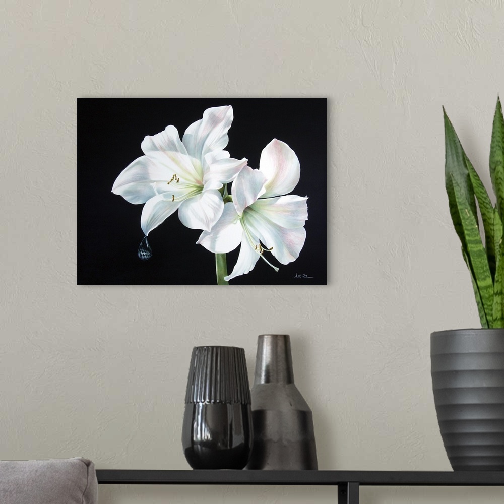 A modern room featuring Amaryllis For Alice