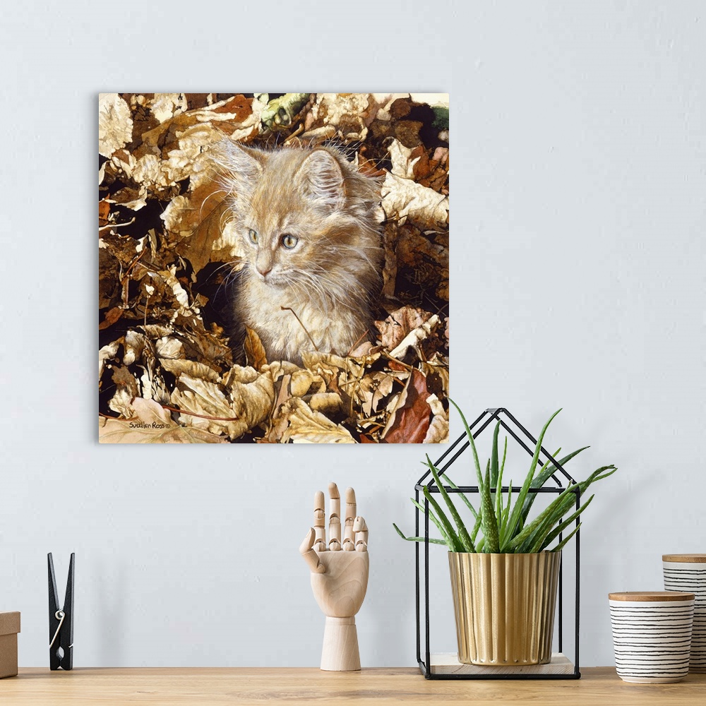 A bohemian room featuring An orange tabby kitten playing in the autumn leaves.