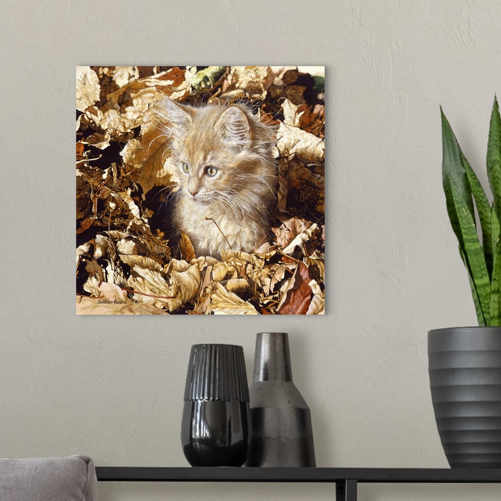 A modern room featuring An orange tabby kitten playing in the autumn leaves.