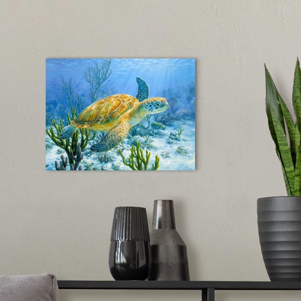 A modern room featuring Ancient Mariner - Green Sea Turtle