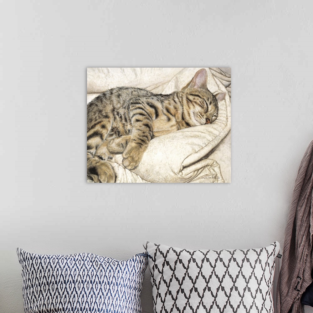 A bohemian room featuring A striped bengal cat enjoying a nap on a soft blanket.