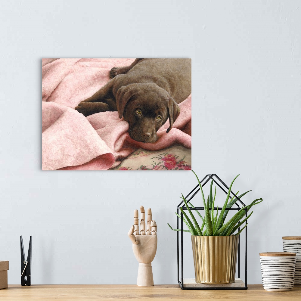 A bohemian room featuring A horizontal image of a chocolate lab laying on a pink blanket.