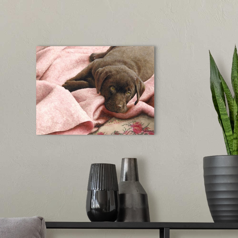 A modern room featuring A horizontal image of a chocolate lab laying on a pink blanket.