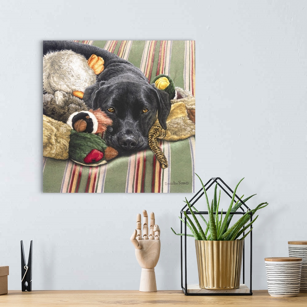 A bohemian room featuring A square image of a black dog laying among his dog toys.