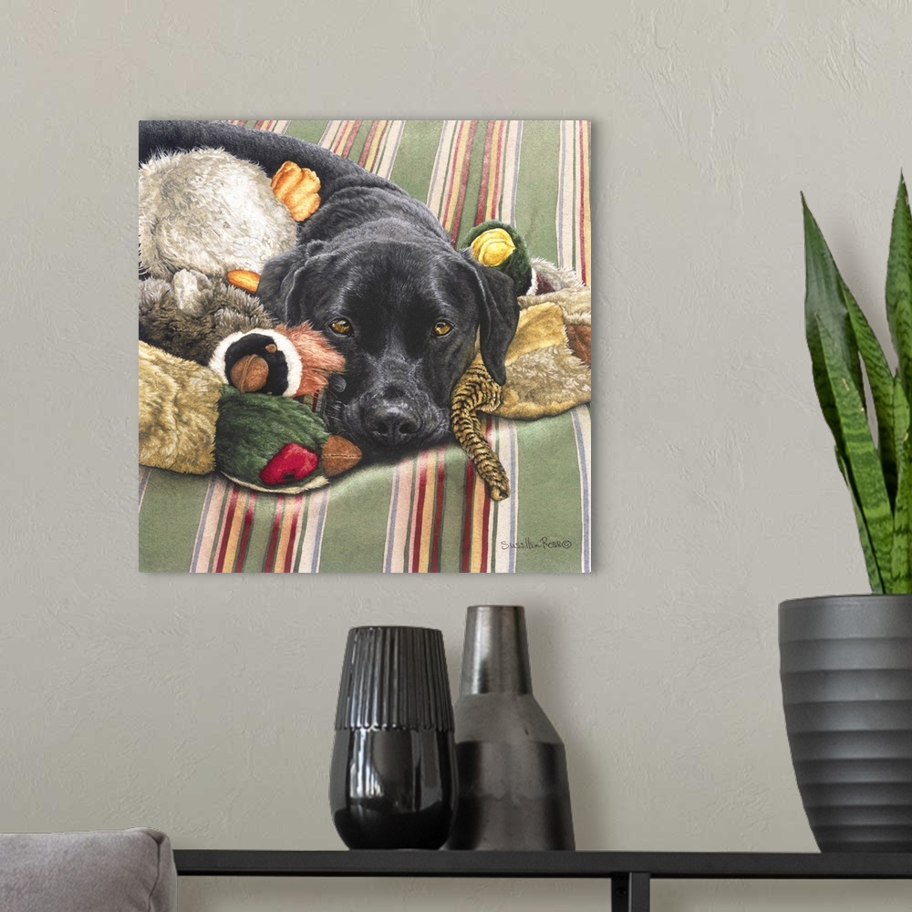 A modern room featuring A square image of a black dog laying among his dog toys.