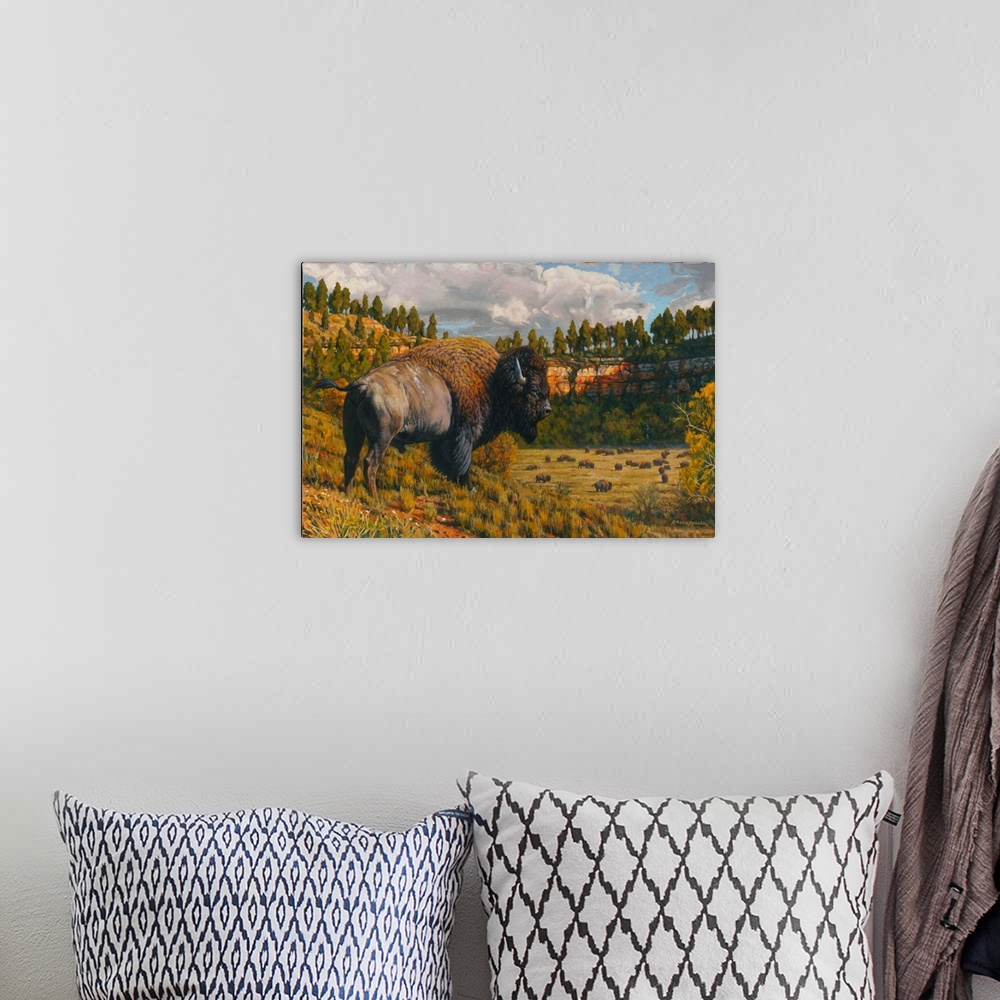 A bohemian room featuring Black Hills - Bison