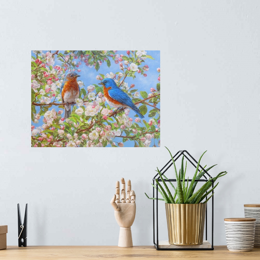A bohemian room featuring Blossom Festival - Eastern Bluebirds